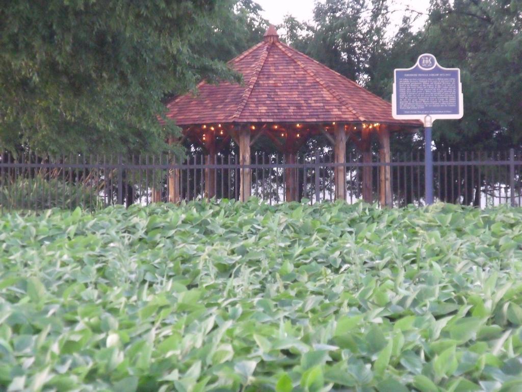 Alliston Stevenson Farms-Harvest Spa B & B المظهر الخارجي الصورة